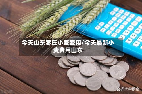 今天山东枣庄小麦费用/今天最新小麦费用山东