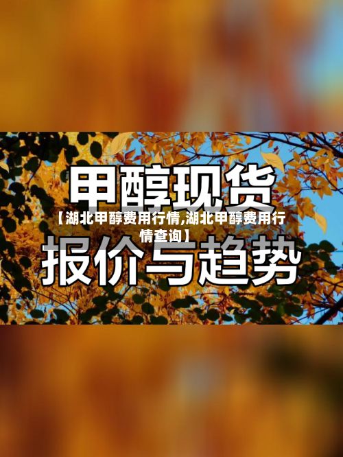 【湖北甲醇费用行情,湖北甲醇费用行情查询】-第2张图片
