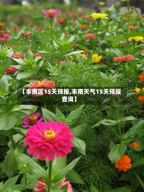 【丰南区15天预报,丰南天气15天预报查询】