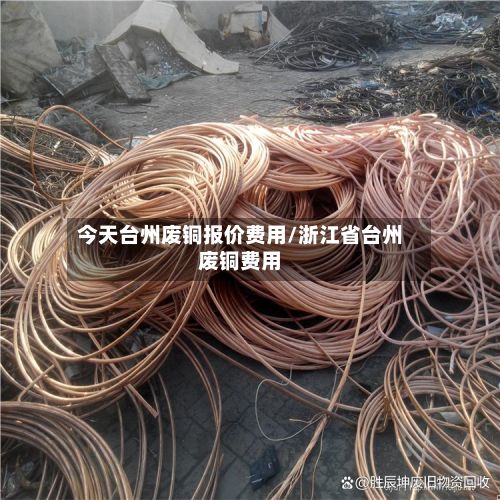 今天台州废铜报价费用/浙江省台州废铜费用-第3张图片