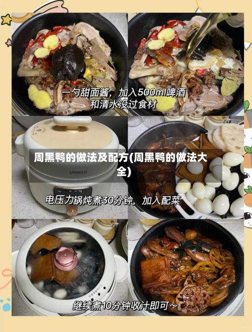 周黑鸭的做法及配方(周黑鸭的做法大全)-第3张图片