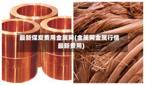 最新煤炭费用金属网(金属网金属行情最新费用)-第2张图片