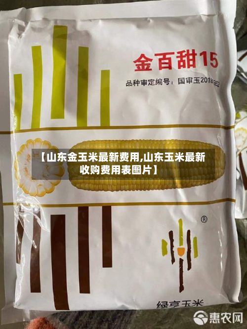 【山东金玉米最新费用,山东玉米最新收购费用表图片】-第2张图片