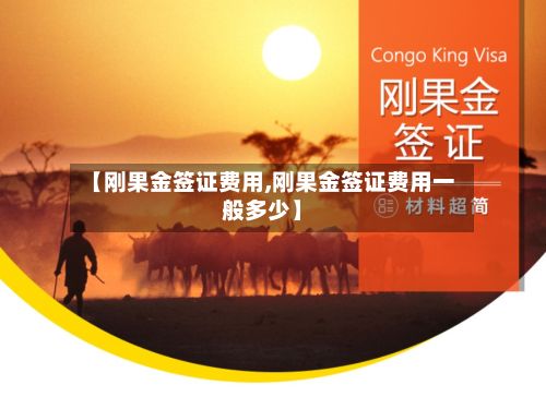 【刚果金签证费用,刚果金签证费用一般多少】-第2张图片