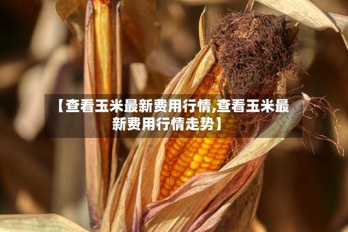 【查看玉米最新费用行情,查看玉米最新费用行情走势】-第2张图片