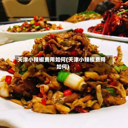 天津小辣椒费用如何(天津小辣椒费用如何)