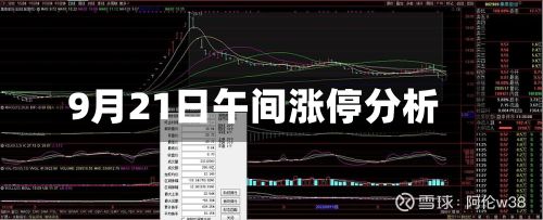 9月21日午间涨停分析
