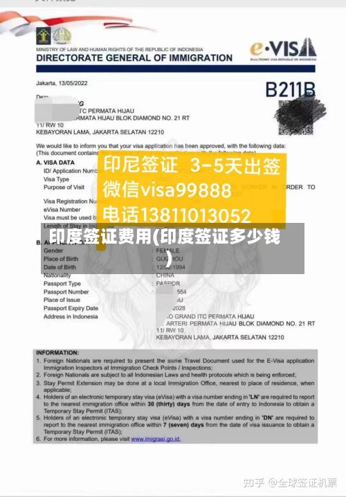 印度签证费用(印度签证多少钱)-第3张图片