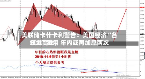 美联储卡什卡利警告：美国经济“各领域”费用压力高企，年内或再加息两次