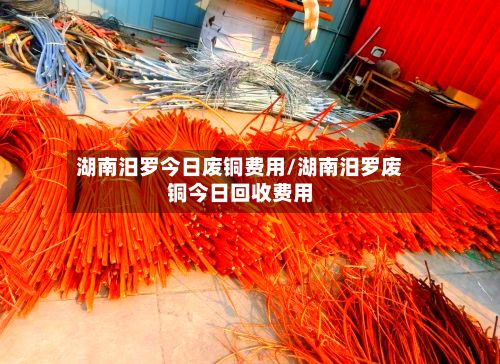 湖南汨罗今日废铜费用/湖南汨罗废铜今日回收费用-第2张图片