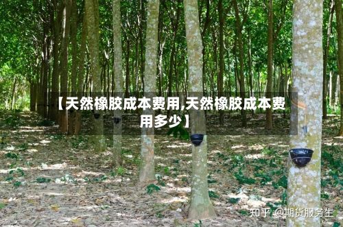 【天然橡胶成本费用,天然橡胶成本费用多少】-第3张图片