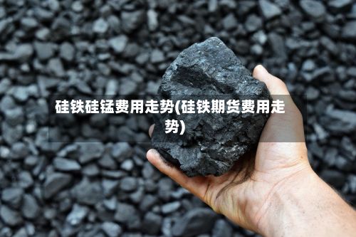 硅铁硅锰费用走势(硅铁期货费用走势)-第2张图片