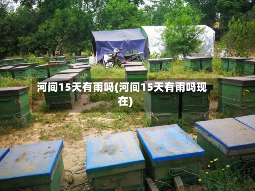 河间15天有雨吗(河间15天有雨吗现在)