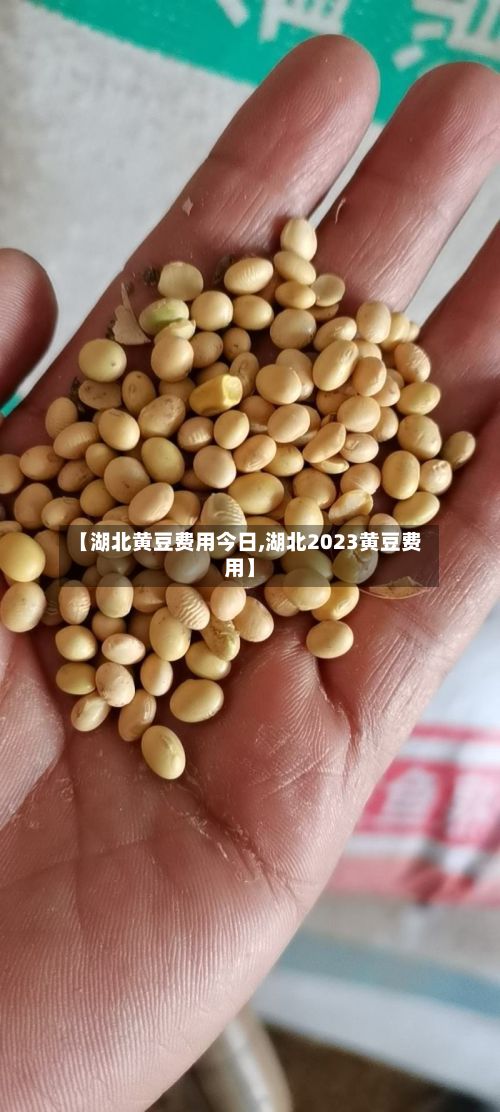 【湖北黄豆费用今日,湖北2023黄豆费用】-第3张图片