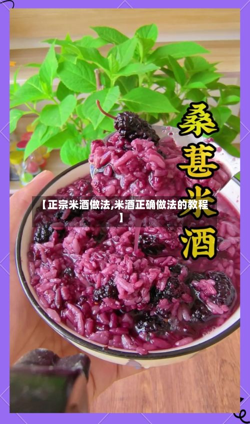 【正宗米酒做法,米酒正确做法的教程】-第2张图片