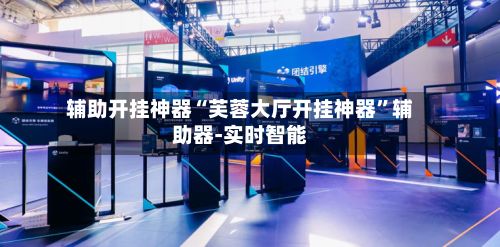 辅助开挂神器“芙蓉大厅开挂神器”辅助器-实时智能-第3张图片