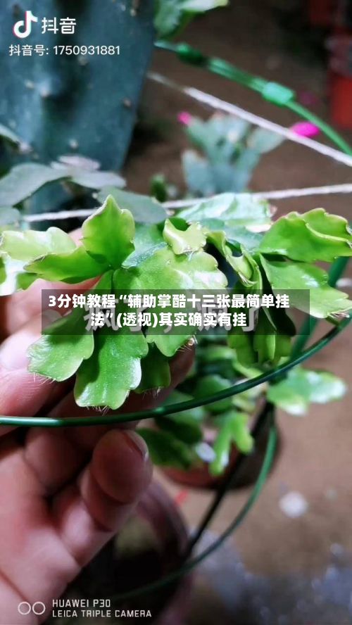 3分钟教程“辅助掌酷十三张最简单挂法”(透视)其实确实有挂