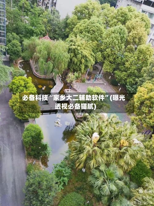 必备科技“家乡大二辅助软件”(曝光透视必备猫腻)-第2张图片
