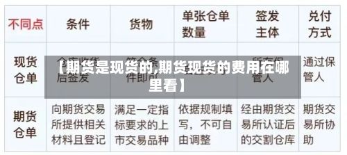 【期货是现货的,期货现货的费用在哪里看】-第2张图片