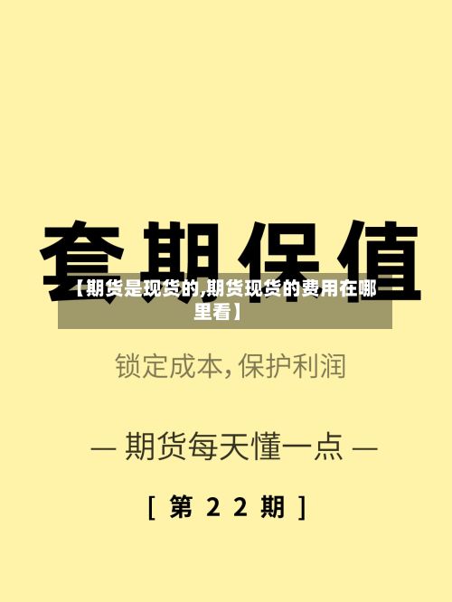 【期货是现货的,期货现货的费用在哪里看】