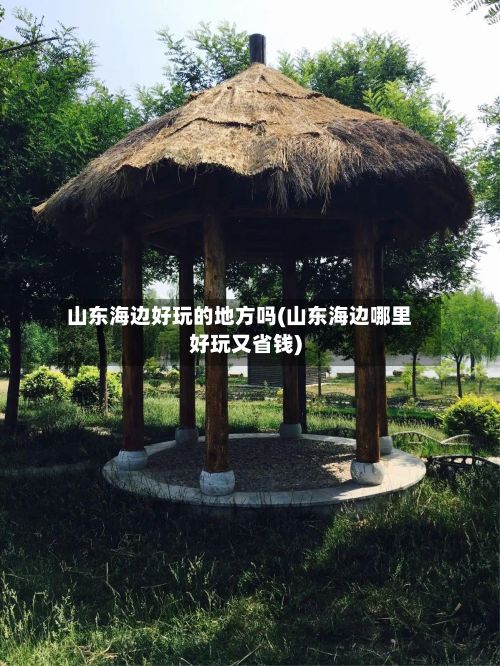 山东海边好玩的地方吗(山东海边哪里好玩又省钱)