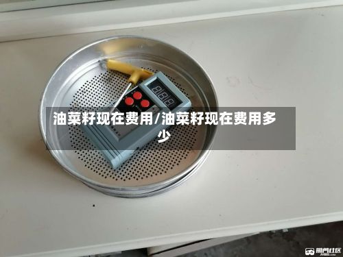 油菜籽现在费用/油菜籽现在费用多少-第2张图片