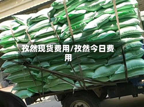 孜然现货费用/孜然今日费用-第3张图片