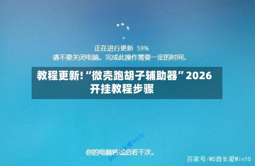 教程更新!“微壳跑胡子辅助器”2026开挂教程步骤-第2张图片