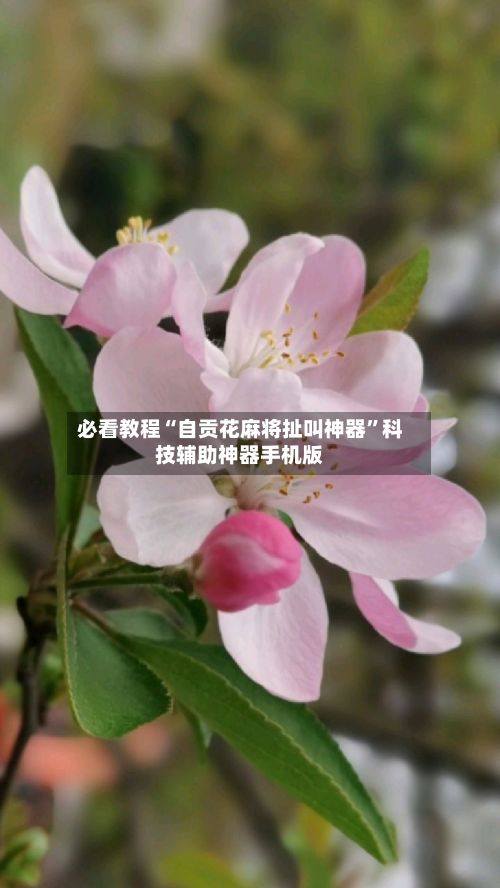 必看教程“自贡花麻将扯叫神器	”科技辅助神器手机版-第3张图片