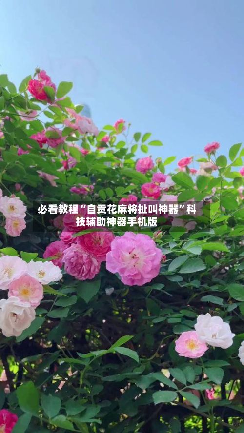 必看教程“自贡花麻将扯叫神器”科技辅助神器手机版