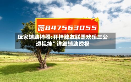 玩家辅助神器:开挂牌友联盟欢乐三公透视挂”详细辅助透视-第2张图片