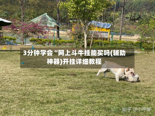 3分钟学会“网上斗牛挂能买吗(辅助神器)开挂详细教程-第3张图片