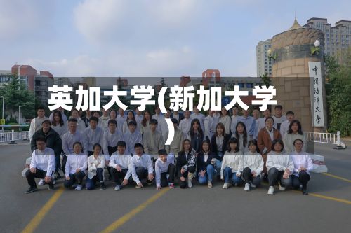 英加大学(新加大学)