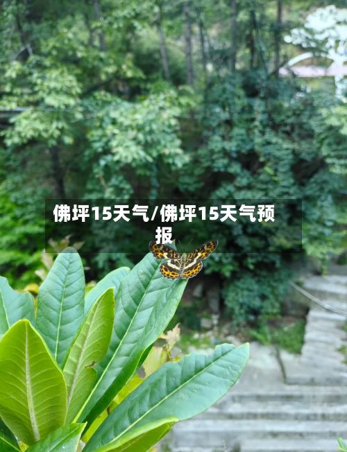 佛坪15天气/佛坪15天气预报-第2张图片
