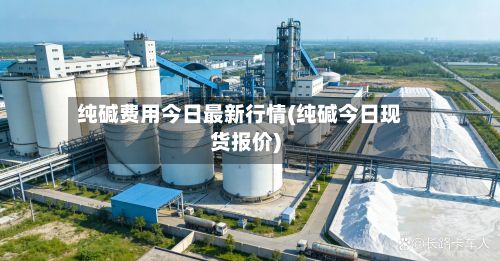 纯碱费用今日最新行情(纯碱今日现货报价)-第3张图片