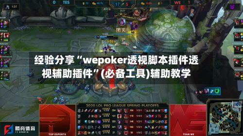经验分享“wepoker透视脚本插件透视辅助插件”(必备工具)辅助教学