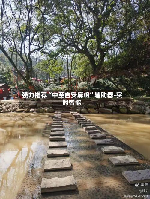 强力推荐“中至吉安麻将”辅助器-实时智能-第3张图片