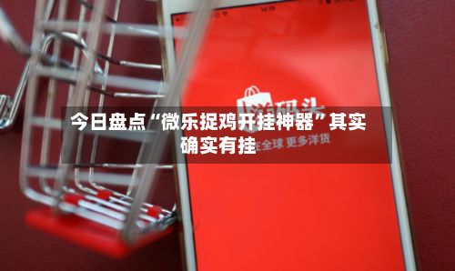 今日盘点“微乐捉鸡开挂神器”其实确实有挂-第3张图片