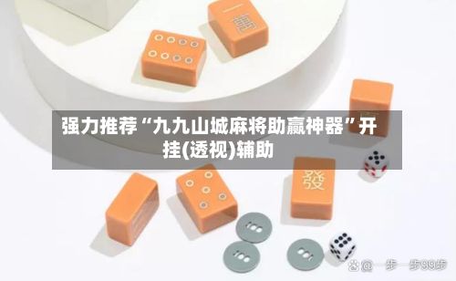 强力推荐“九九山城麻将助赢神器”开挂(透视)辅助-第2张图片