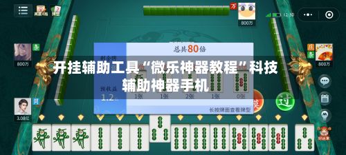 开挂辅助工具“微乐神器教程	”科技辅助神器手机-第2张图片