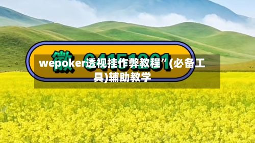 wepoker透视挂作弊教程”(必备工具)辅助教学-第3张图片