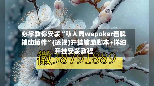 必学教你安装“私人局wepoker看牌辅助插件”(透视)开挂辅助脚本+详细开挂安装教程-第2张图片