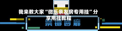 我来教大家“微乐亲友房专用挂	”分享用挂教程-第2张图片