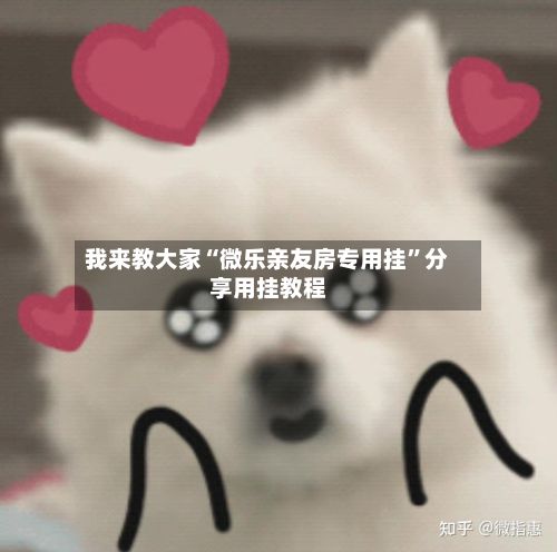 我来教大家“微乐亲友房专用挂”分享用挂教程