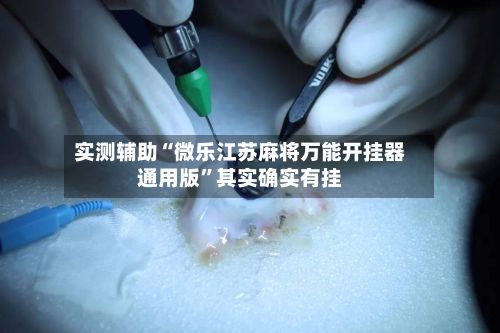 实测辅助“微乐江苏麻将万能开挂器通用版”其实确实有挂-第3张图片