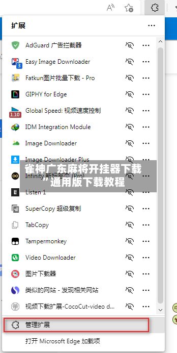 雀神广东麻将开挂器下载”通用版下载教程-第2张图片