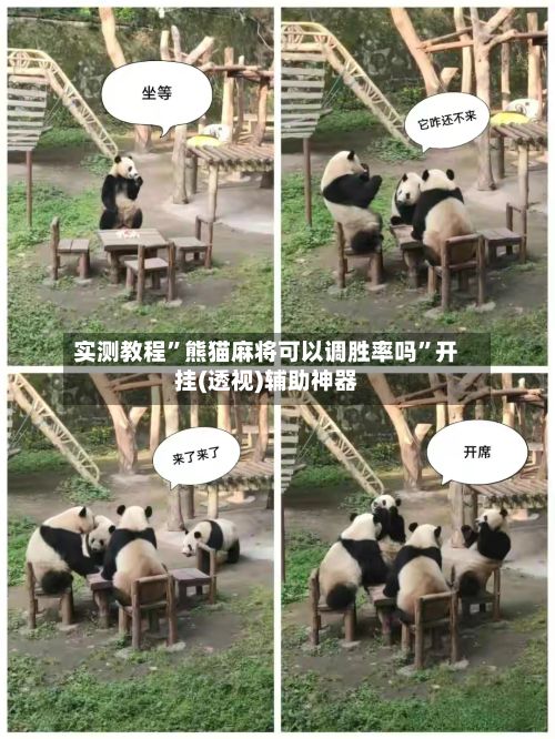 实测教程”熊猫麻将可以调胜率吗”开挂(透视)辅助神器-第3张图片