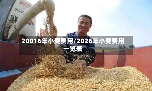 20016年小麦费用/2026年小麦费用一览表