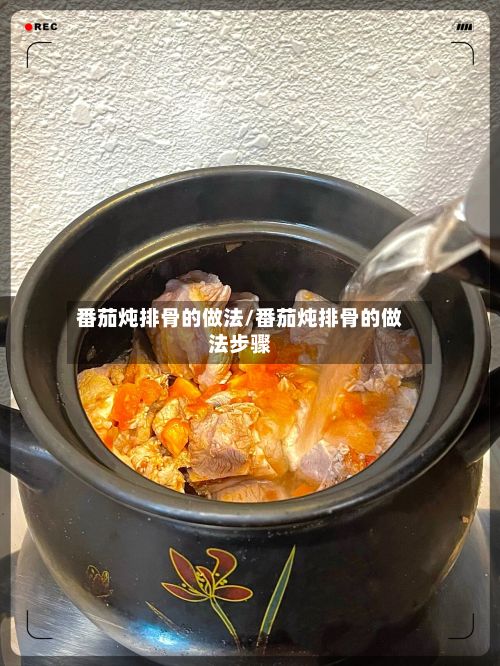 番茄炖排骨的做法/番茄炖排骨的做法步骤
