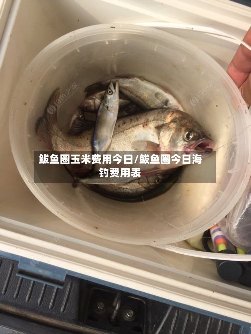 鲅鱼圈玉米费用今日/鲅鱼圈今日海钓费用表